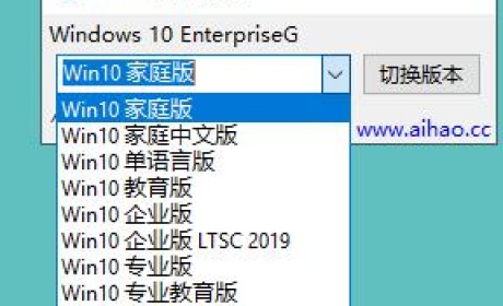 Windows10系统版本切换器