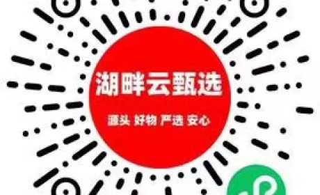 招SK-II神仙水等大牌美妆代理