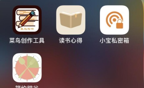 多款IOS伪装影视APP