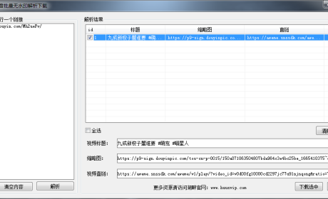 电脑版抖音无水印批量解析下载