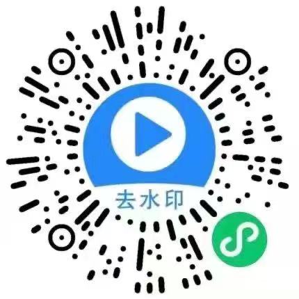 抖音快手等平台免费去水印下载视频小程序-湖畔网