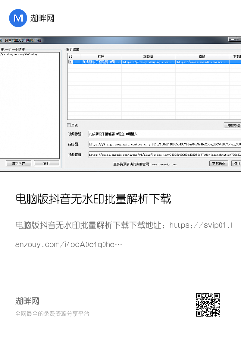 电脑版抖音无水印批量解析下载分享封面