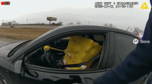 一个插件,免费使用所有顶级大模型(Claude、Gemini、Grok、GPT、Sora2)-湖畔资源网