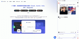 图片[9]-一个插件，免费使用所有顶级大模型（Claude、Gemini、Grok、GPT、Sora2）-湖畔资源网